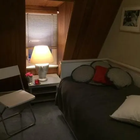 Gezellige Zolder In Met Dakterras Apartmán