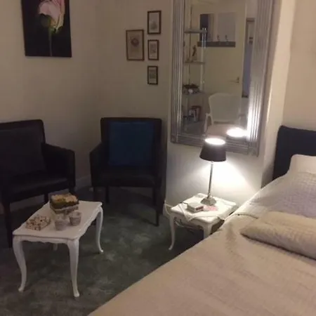 Gezellige Zolder In Met Dakterras * Wassenaar