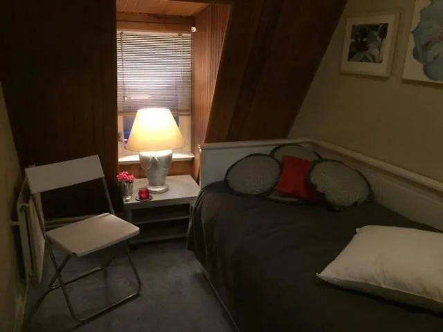 Gezellige Zolder In Met Dakterras Apartment