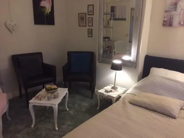 Gezellige Zolder In Met Dakterras * Wassenaar