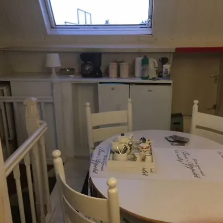 Gezellige Zolder In Met Dakterras Lägenhet